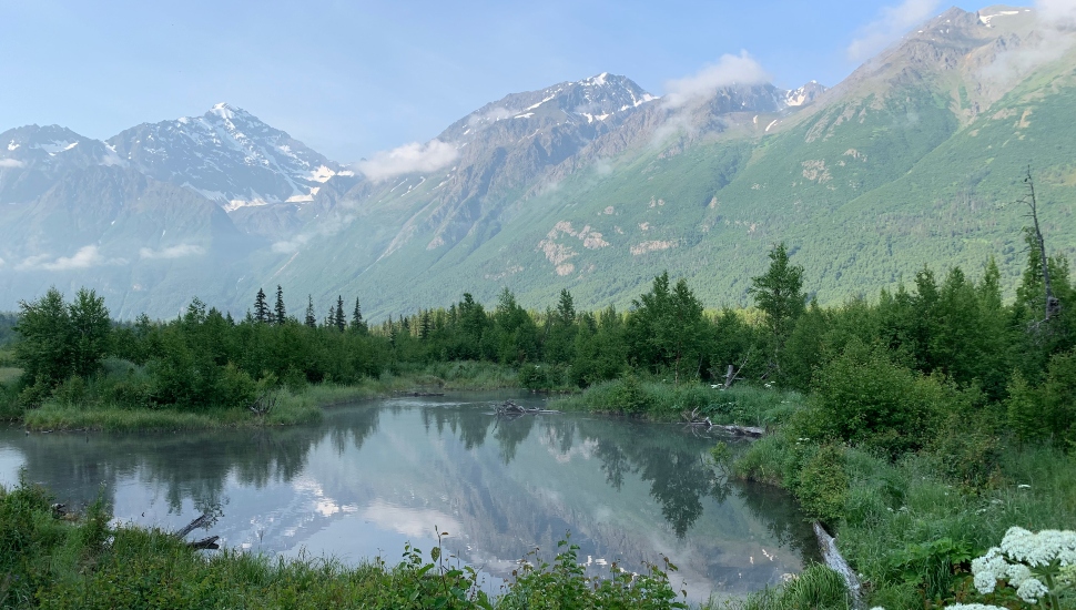 Bucks County Rep. Brian Fitzpatrick Cosponsors Protection Bill for Arctic National Refuge