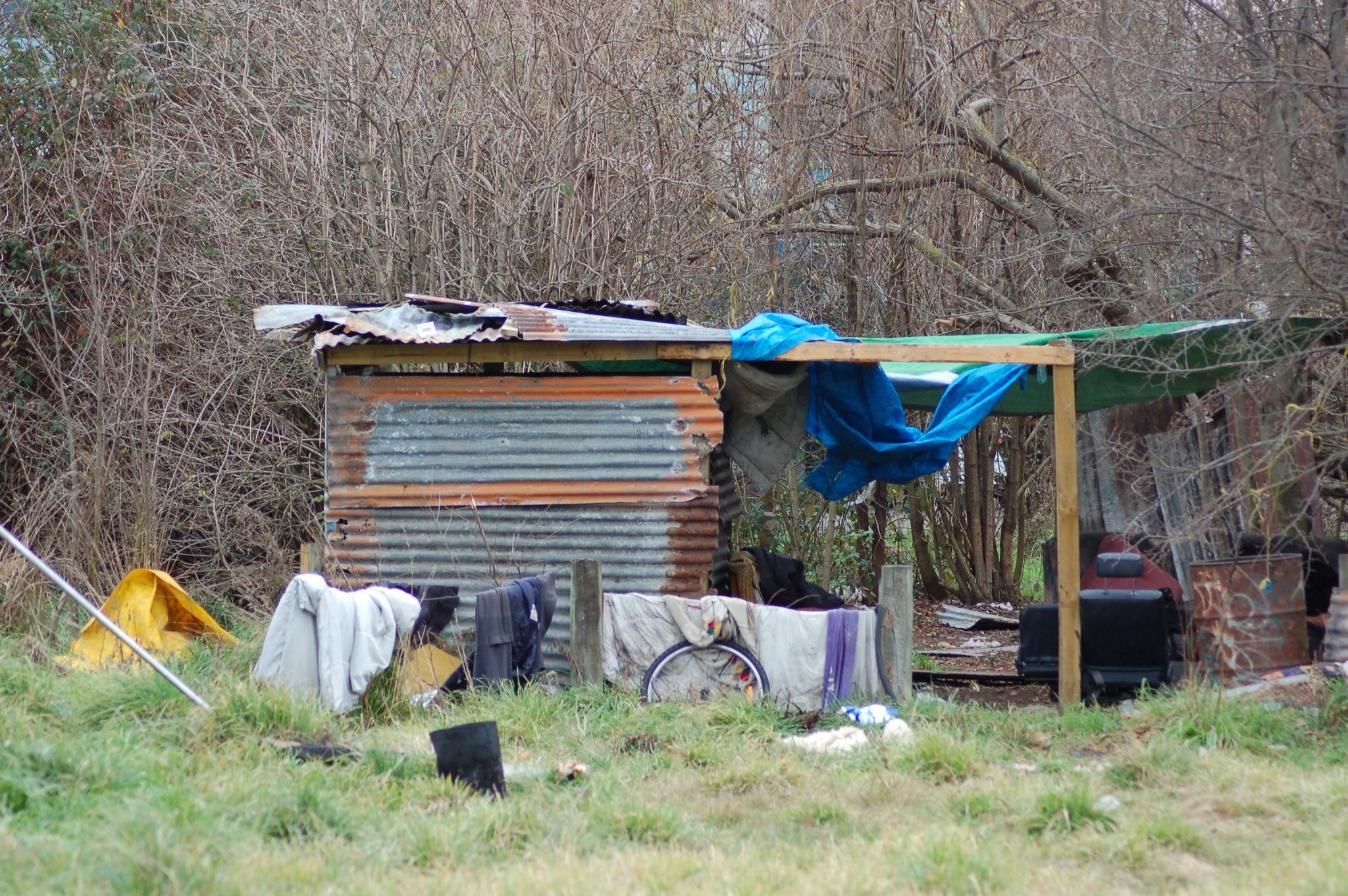 Housing Link Homeless Services