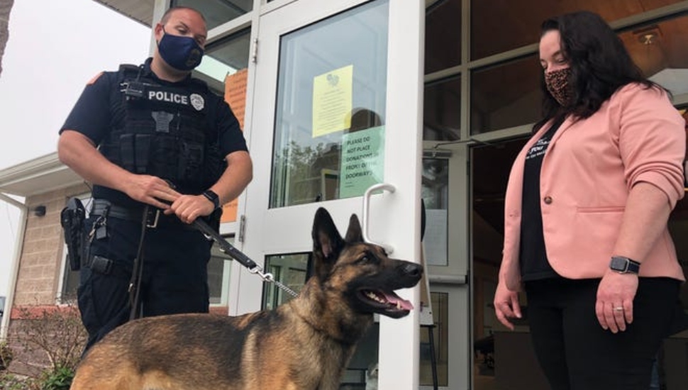 The Right Job in Lower Southampton Enables Rescue Dog “Arrow” to Hit His Sweet Spot