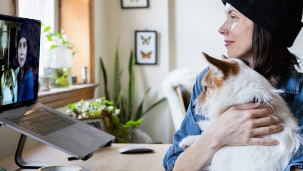 Telemedicine for Pets Bucks County