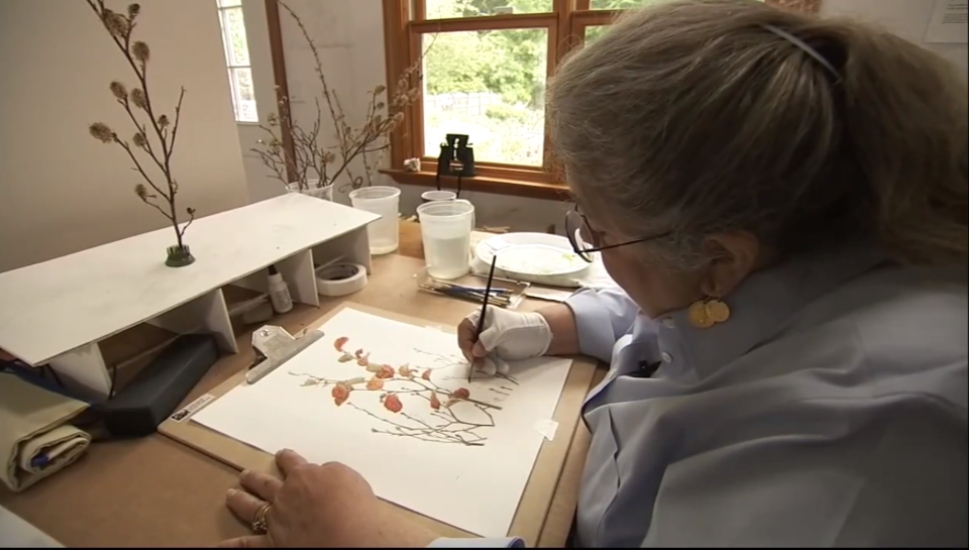 Carol Ashton-Hergenhan Bensalem artist