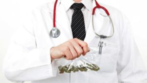 Pennsylvania cannabis industry