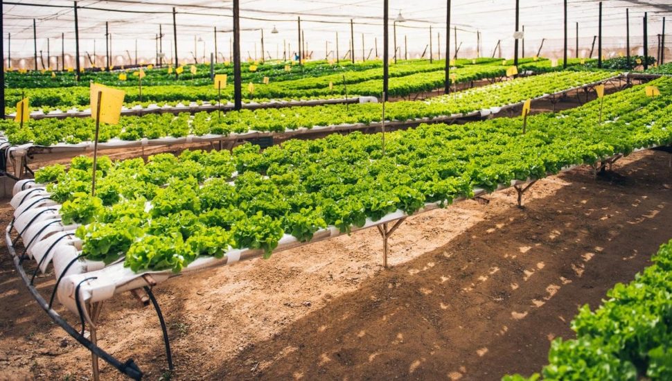 Hydrofarm Holdings Group - East, in Fairless Hills, specializes in controlled environment agriculture (CEA).
