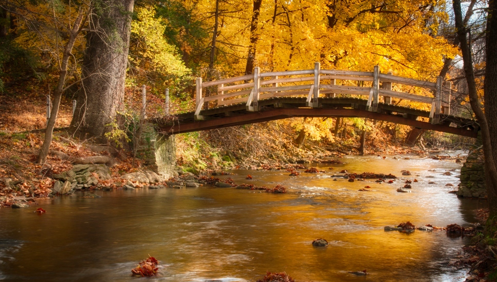 bridge over creek