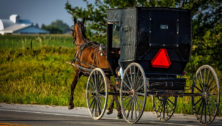 Amish buggy in Lancaster County