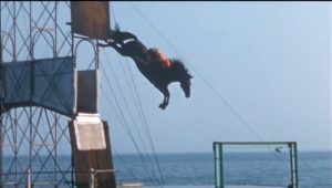 Atlantic City Steel Pier diving horse
