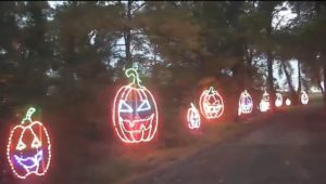 lit pumpkins in a line