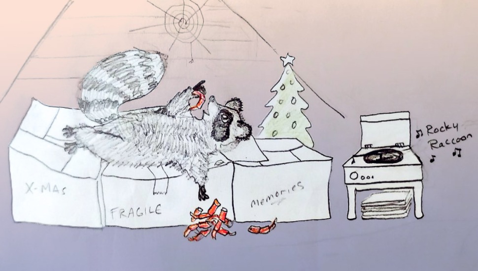 RACCOON ILLUSTRATION BY KAYLI RIFE