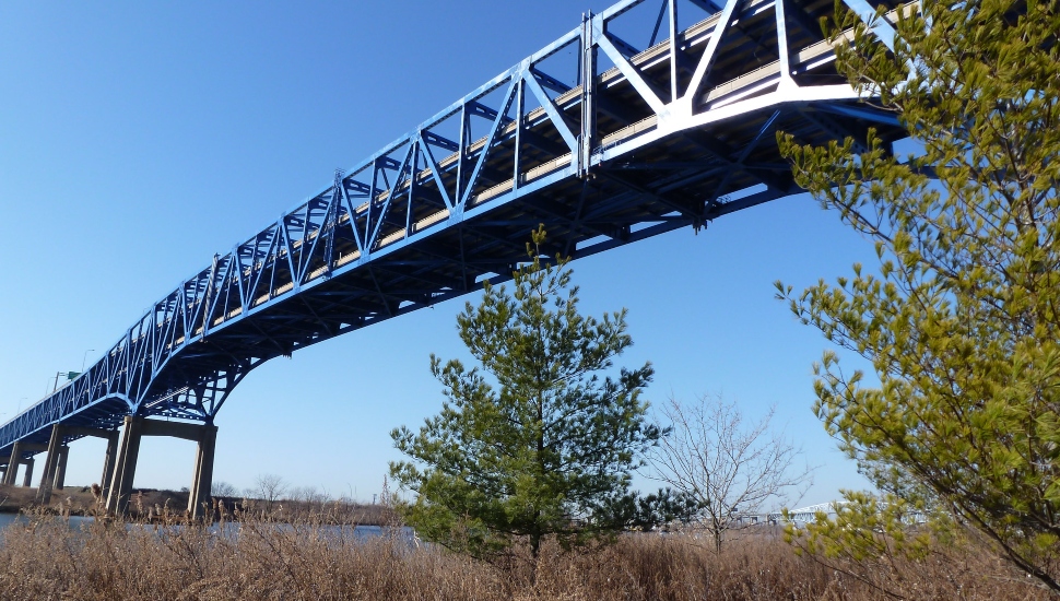 bridge over trees