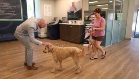 man petting dog