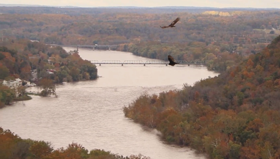 riverbend with birds