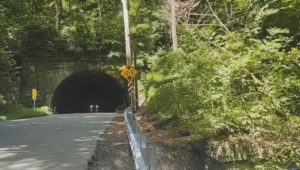 stone tunnel in wooded area