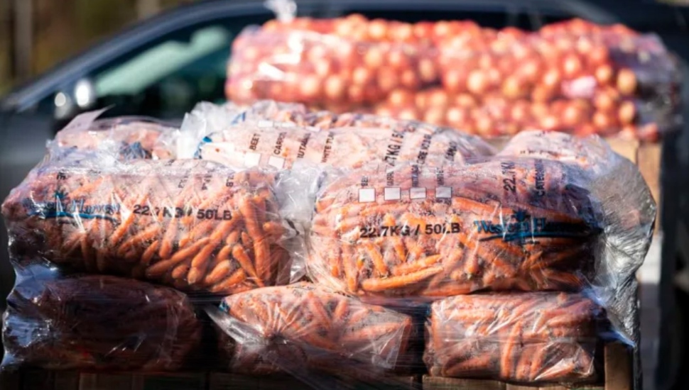 Bucks County Food Banks Face Dual Challenges of Higher Costs and Inventory Shortages