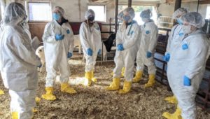 people in containment suits in a barn