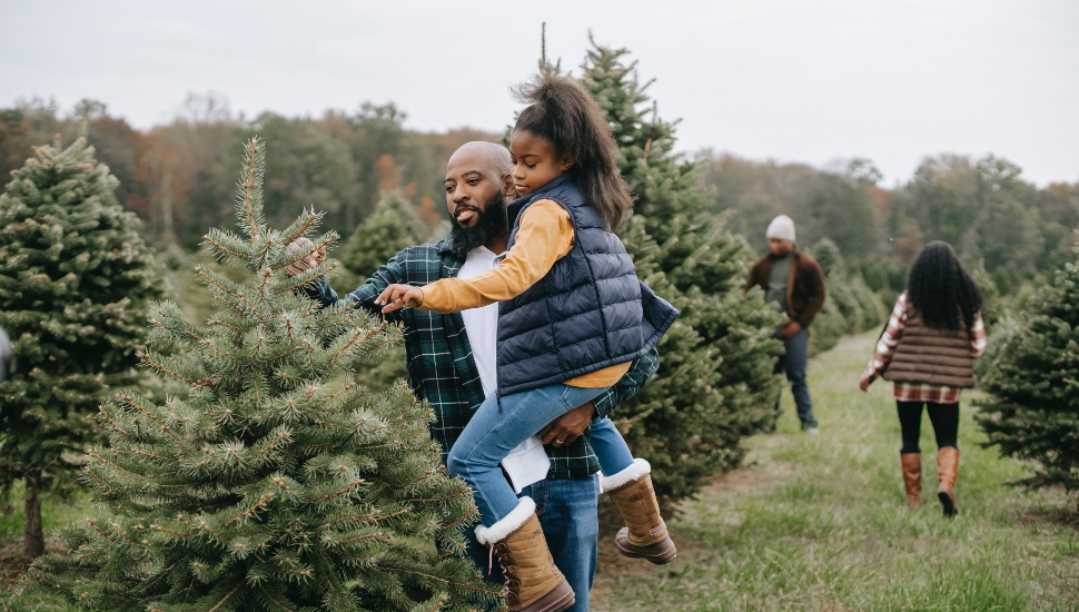 Fir Sure! Bucks County Is the Place for Your Freshly Cut Christmas Tree
