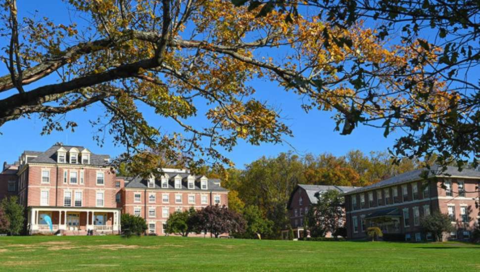 brick buildings and large tree