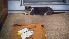 cat on a porch with a package