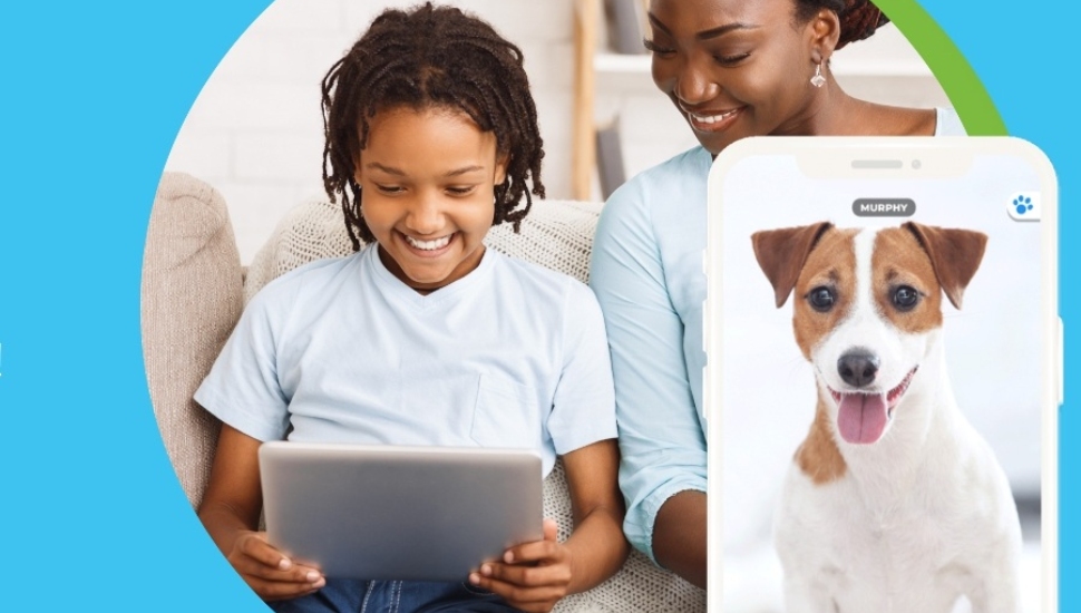 Lift Your Spirits With Virtual Puppy App From Michelle Davey of Haverford