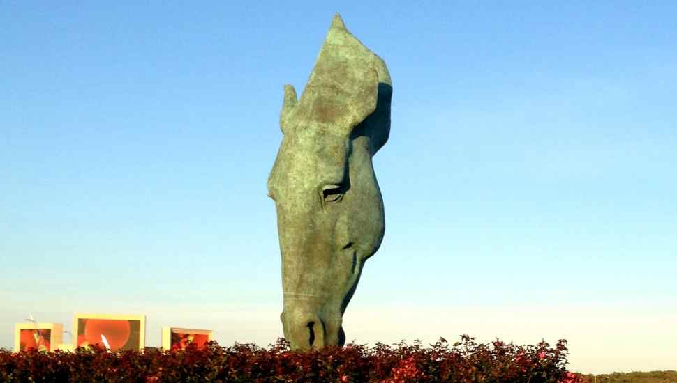 bronze horse head