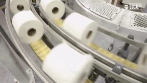 Toilet paper rolls on a production line.