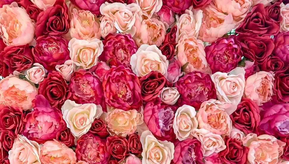 Bucks County Florists Overcome Thorny Supply-Chain Issues to Stock Valentine’s Day Roses