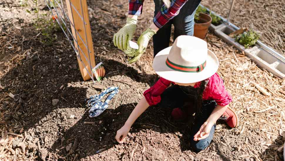Morrisville Free Library Supports a Kernel of a Great Idea, Hosts Seed Share
