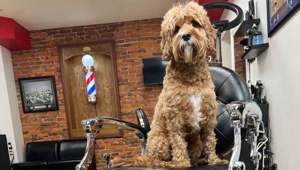 Dapper in Doylestown: Yelp Shows Five-Star Barber Shops Generating Buzz in the Borough