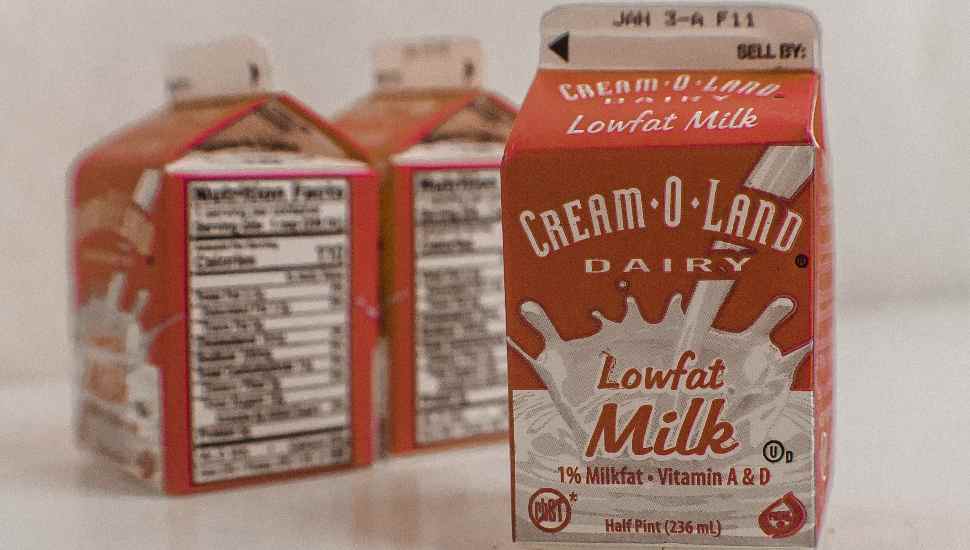 milk carton