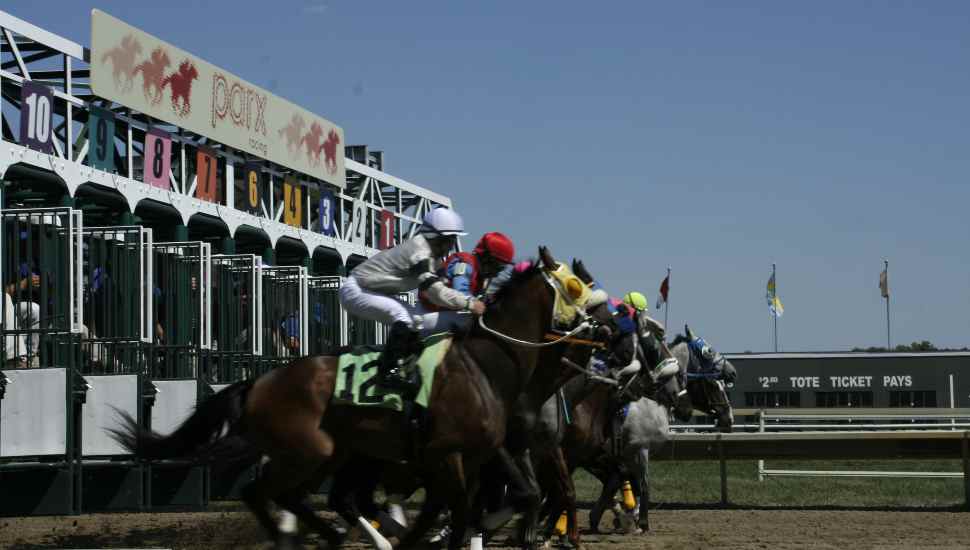 starting gate
