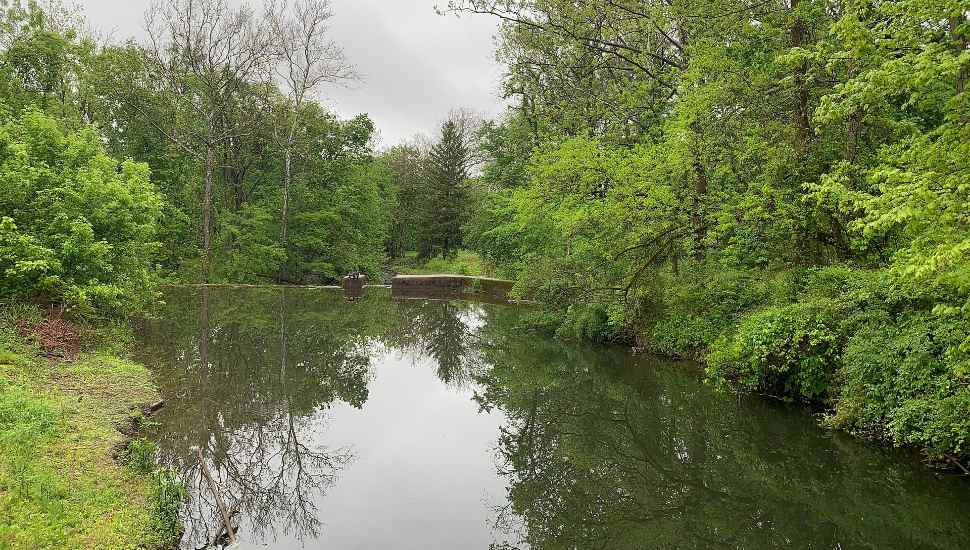wooded creek