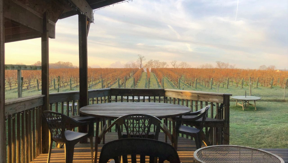 LA Va Vineyards