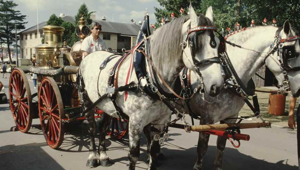 horse and wagon