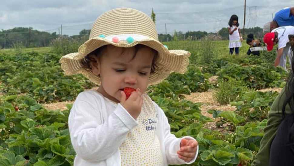 Yardley’s Shady Brook Farm Gears Up for a Summer of Sharing the Fruits of Its Labor