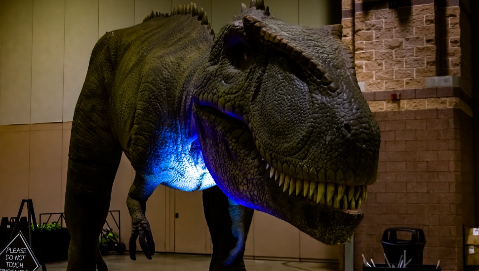 CV Events dino & Dragon Stroll