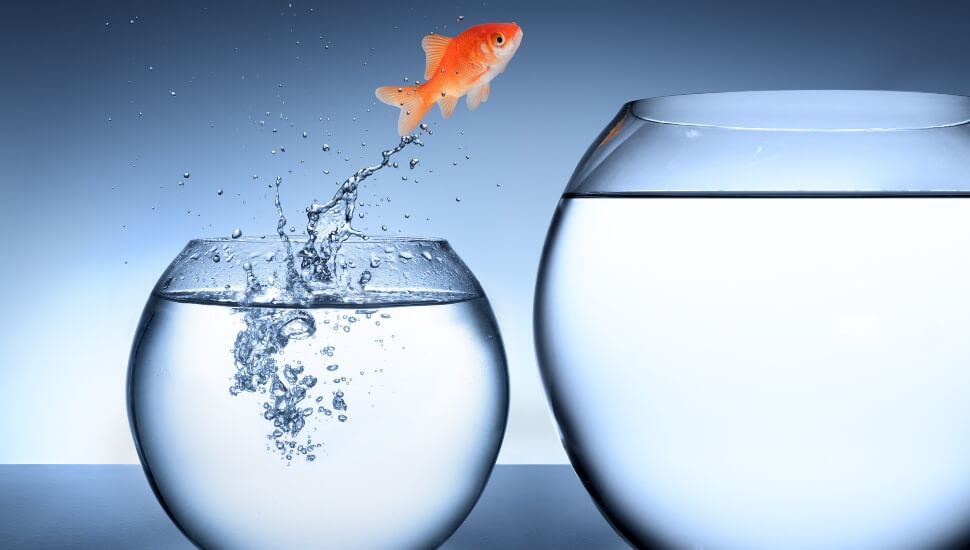 From Forbes: How To Change Careers, According To 50 People Who Pivoted to a New Career