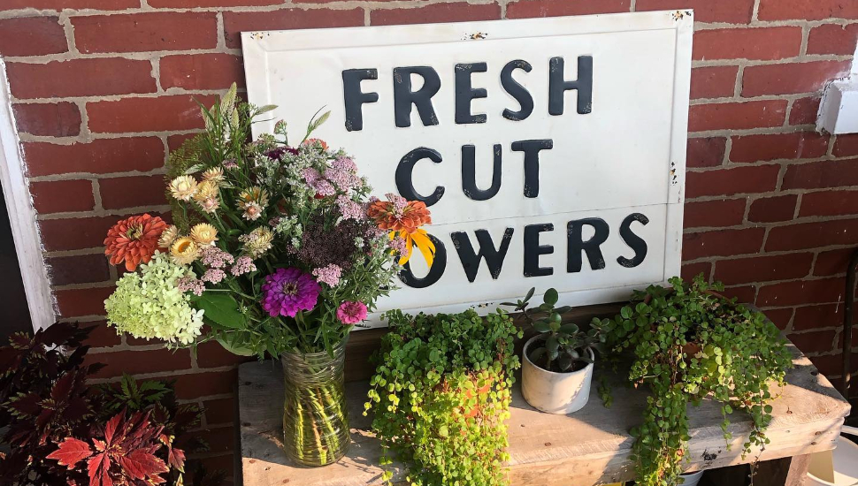 When Phoenixville Couple Left Free Flowers on Their Front Porch, They Didn’t Expect Such Poppy-ular Results