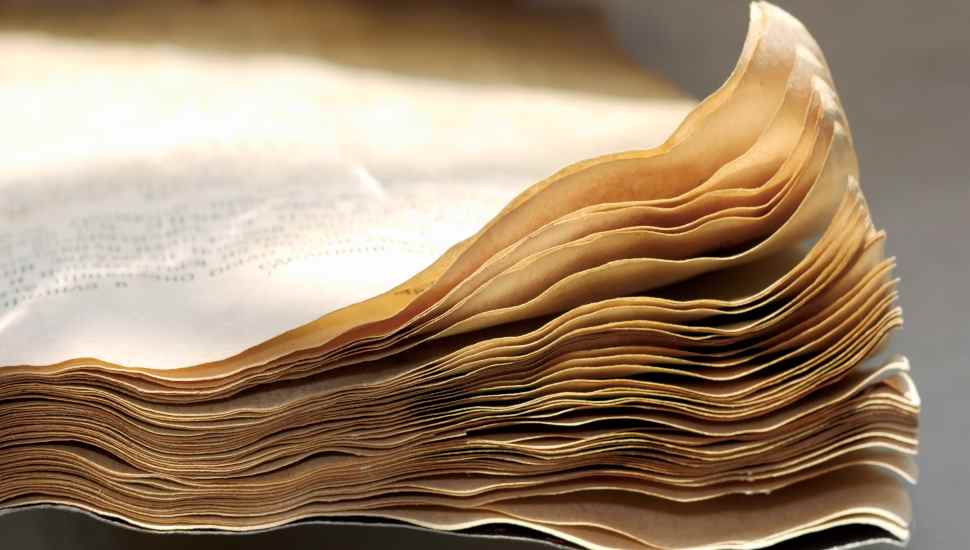 wet paper