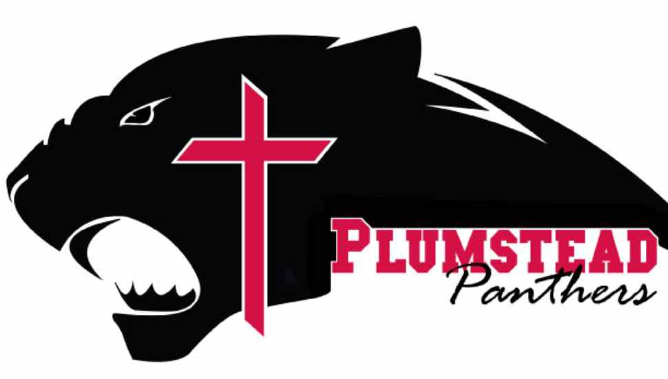 panther logo