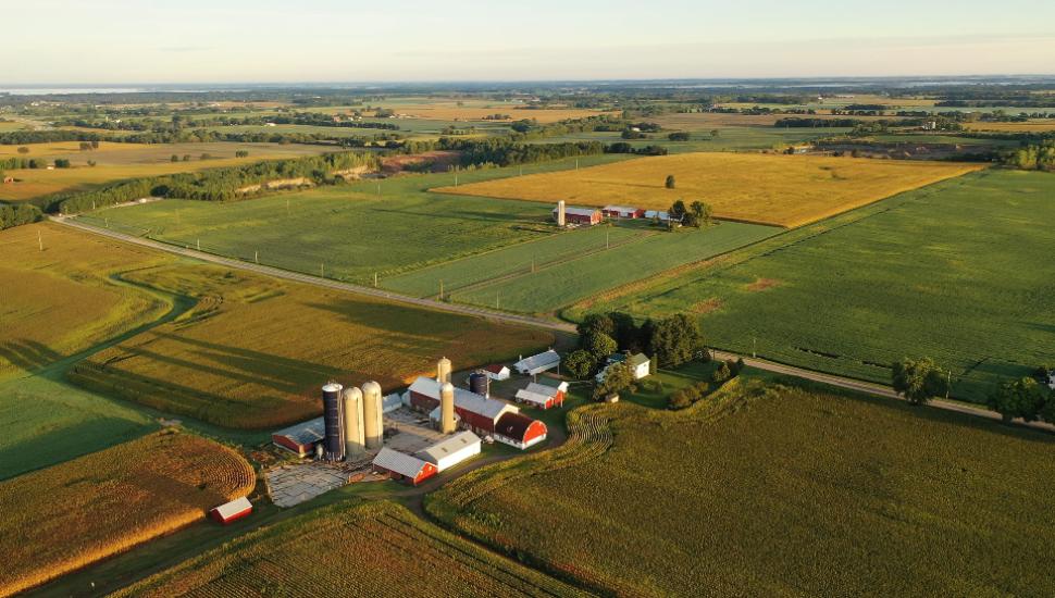 farm