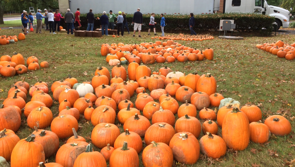 Yardley Church’s Annual Pumpkin Patch Raises Money for Local Food Pantry