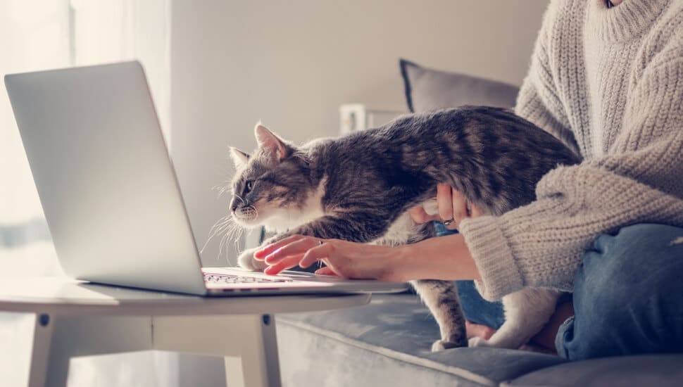 The Top 3 Skills You Need to Land a Remote Job in Today’s Marketplace