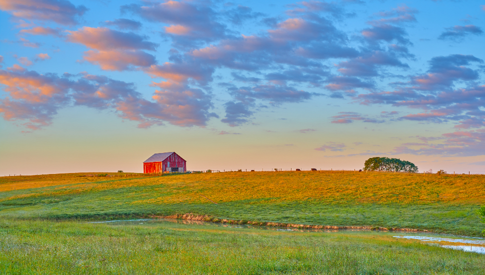 farmland