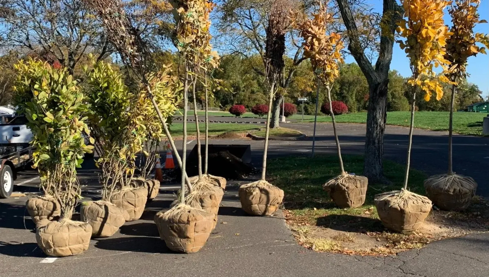 Yardley Playground Celebrates 30 Years of Fun with New Trees, Other Renovations