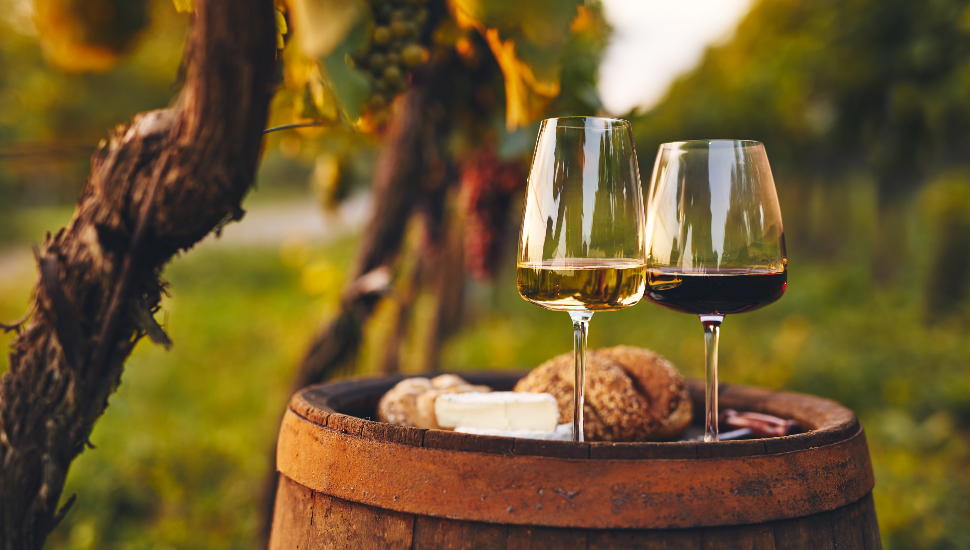 Bucks County winery