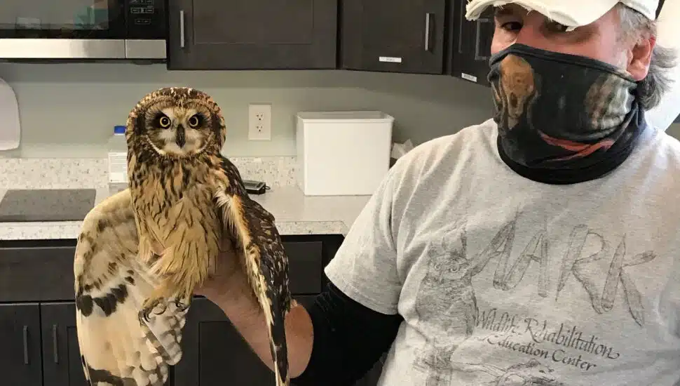 Thanks to Dedicated Volunteers, Chalfont Nonprofit Has Been Rehabilitating Wild Animals for Decades