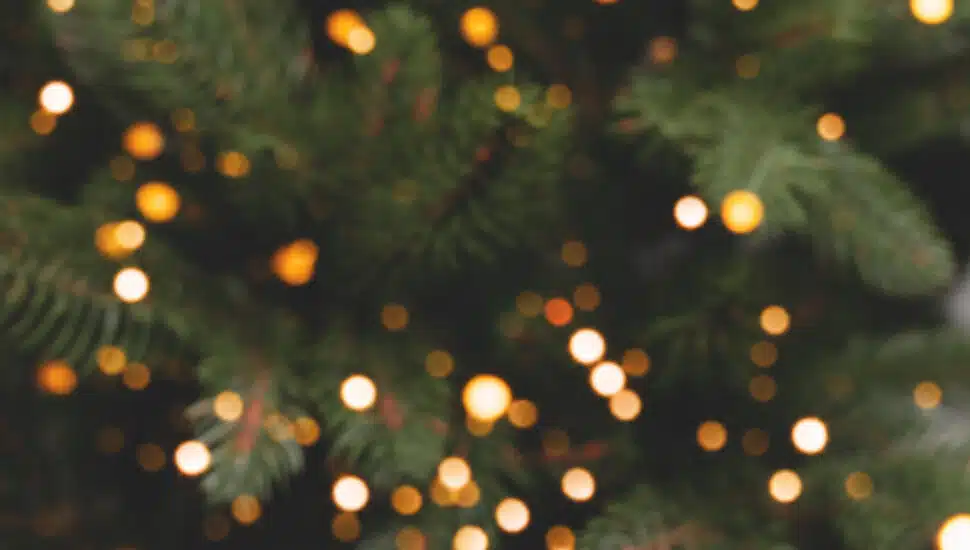 This Bucks County Borough Will Be Celebrating Their 108th Christmas Tree Lighting Next Week