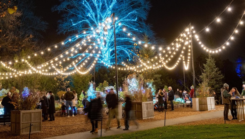 Longwood Christmas