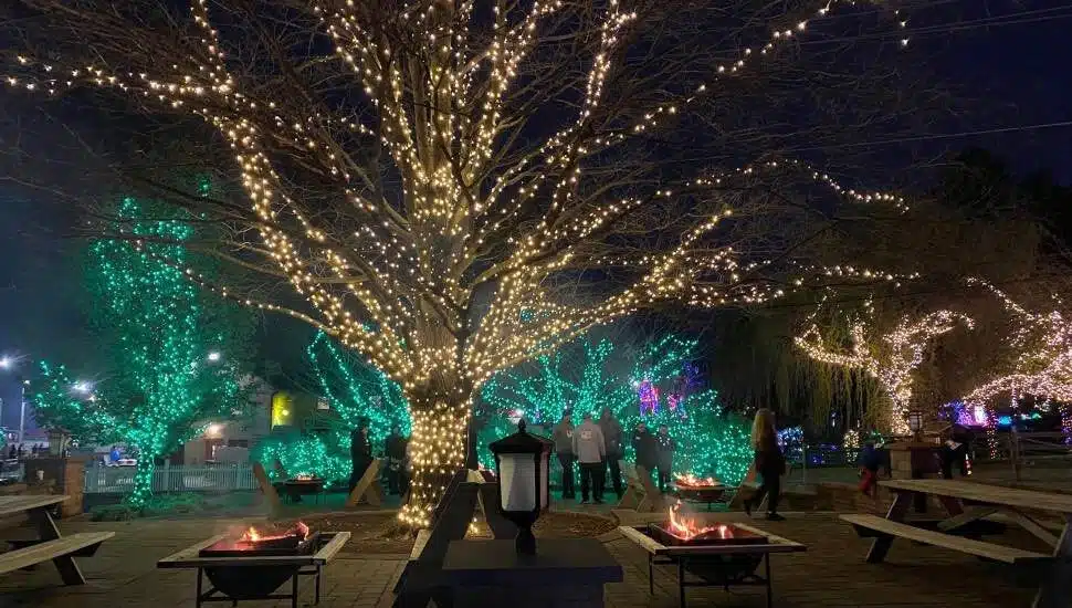 Among the Holiday Lights, a Local Couple Gets Engaged at Shady Brook Farm