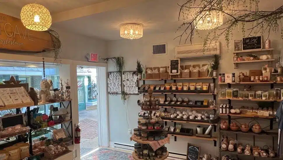 Make Your Own Gift Baskets Full of Holistic Products at This Doylestown Wellness Center