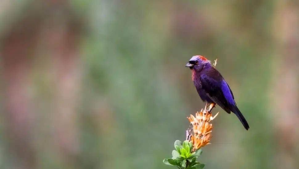 Bucks County Audubon Society Showing Best Nature Photos of 2022 This Week. Here’s What to Know